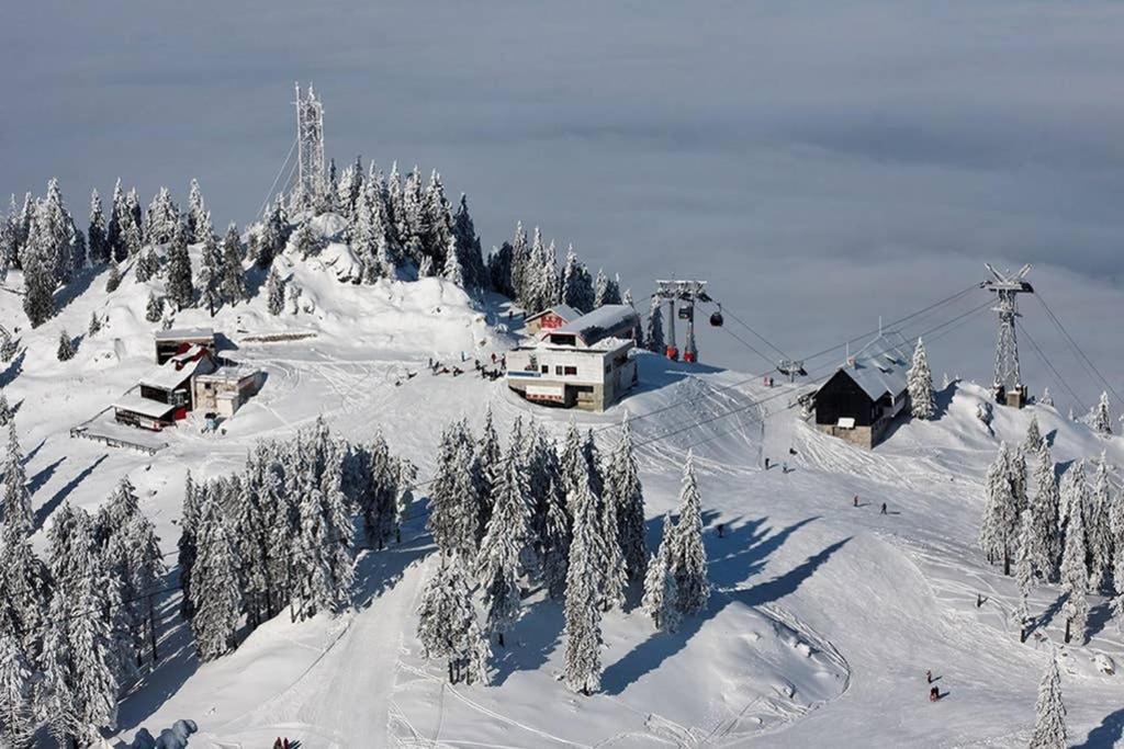 Charming Villa In A Private Mountain Resort Brașov Exterior foto
